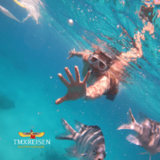 Schnorcheln in Hurghada zu Paradise_Insel Privat mit Speed Boot bei TMXREISEN-Hurghada Paradise Island-Schnorcheln Hurghada- Beste-Mögliche Aktivitäten in hurghada-Privat-hurghada-Marsa Alam Ausflüge-Marsa Alam Schnorcheln-Eine Übernachtung mit Delphinen in Masar Alam-Marsa Alam Schnorcheln Hausriff.